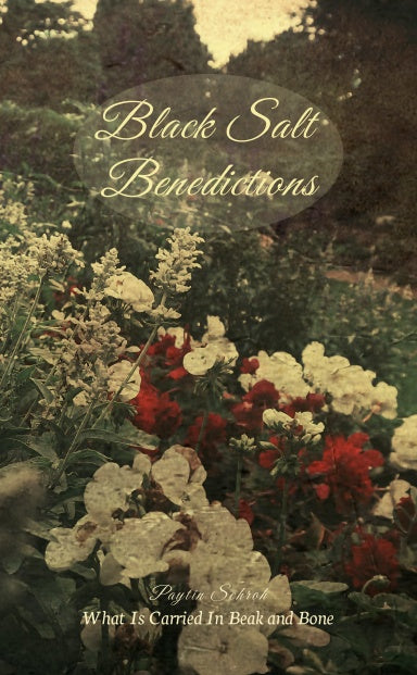 Book Cover Variant Thumbnail