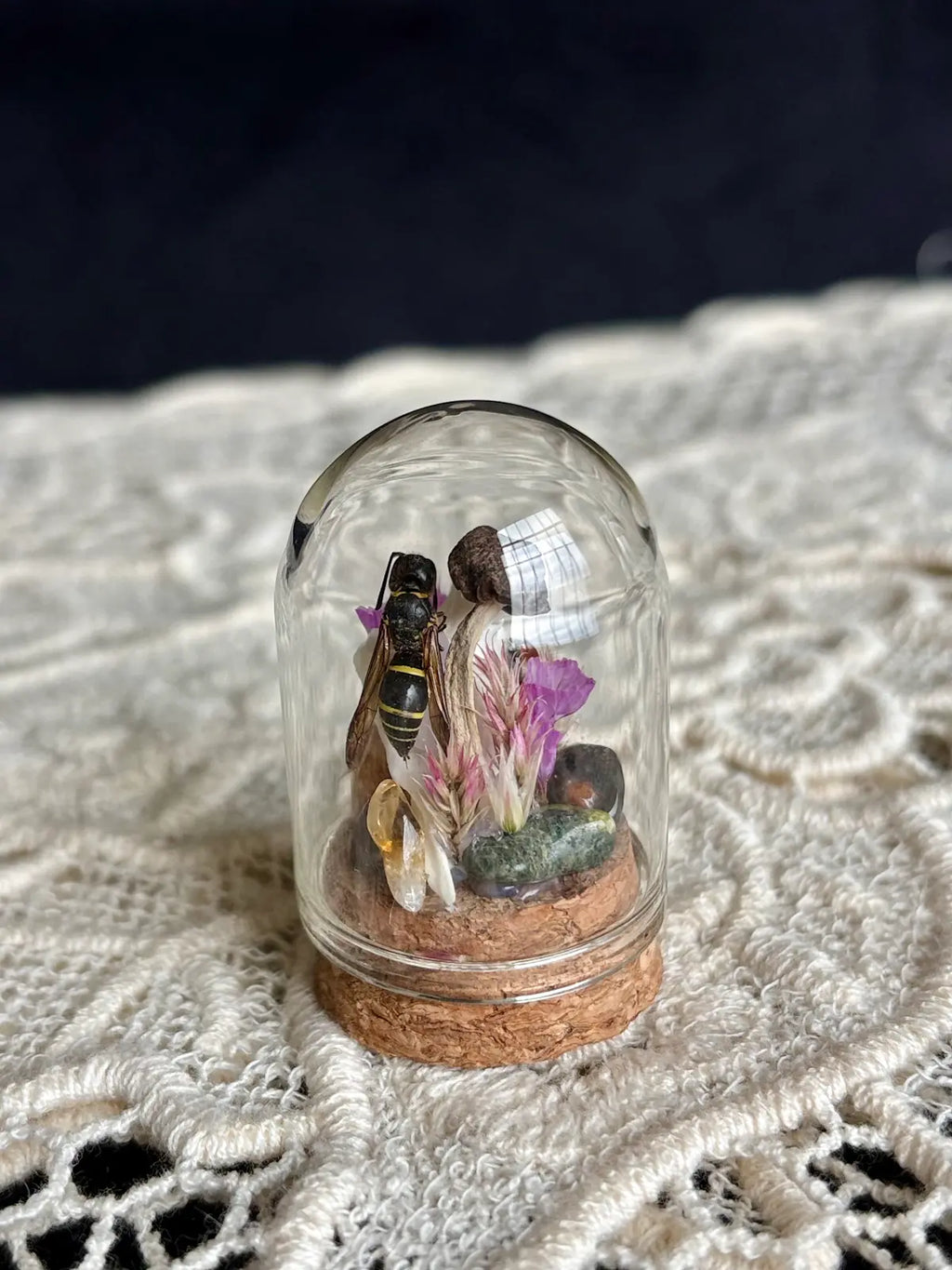Meadow & Marrow Glass Cloche Insectarium