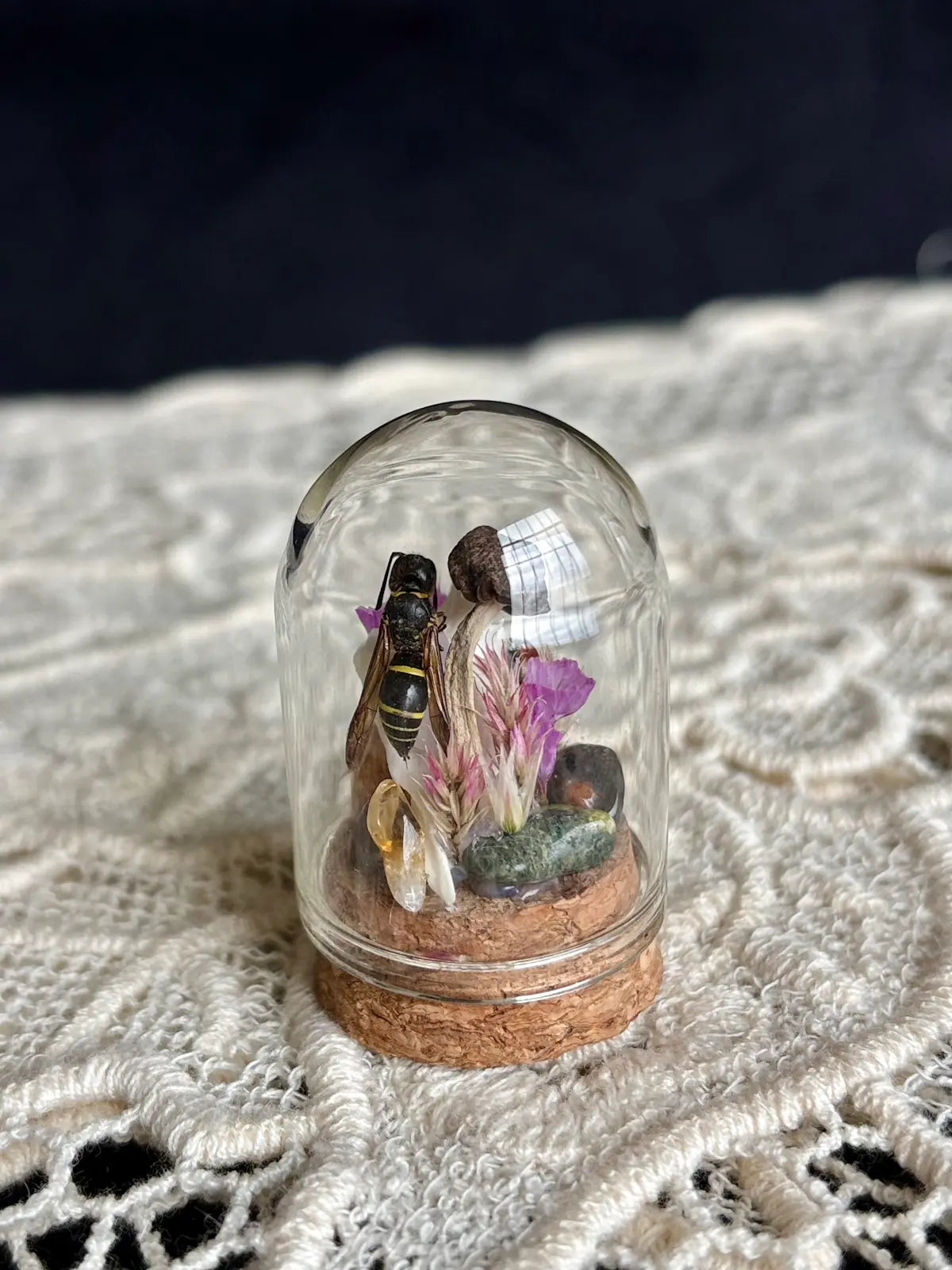 Meadow & Marrow Glass Cloche Insectarium