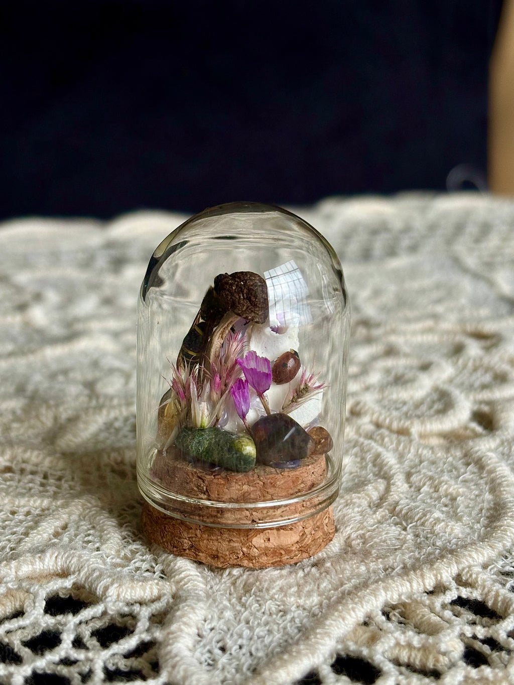 Meadow & Marrow Glass Cloche Insectarium