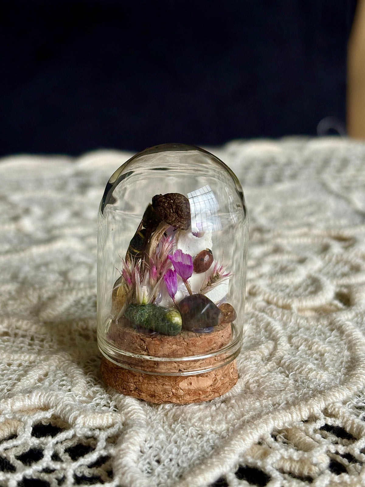 Meadow & Marrow Glass Cloche Insectarium