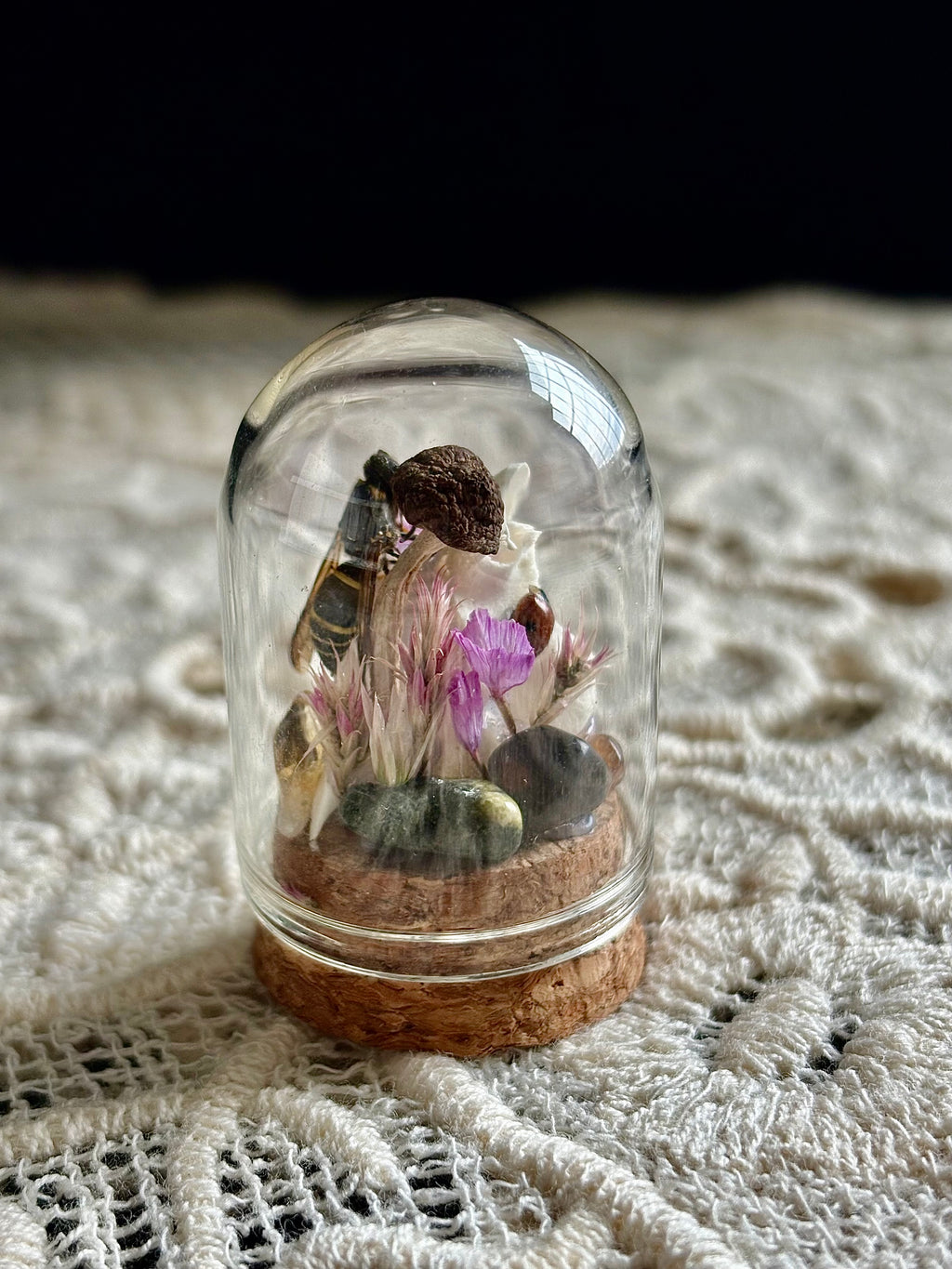 Meadow & Marrow Glass Cloche Insectarium