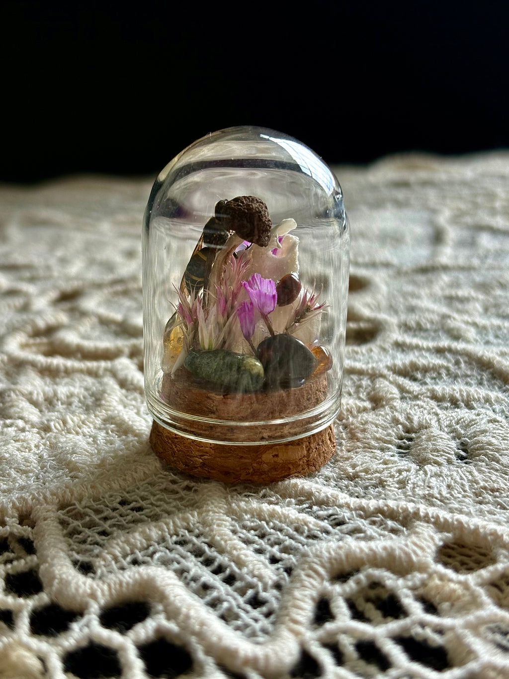 Meadow & Marrow Glass Cloche Insectarium